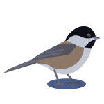 An icon representing the Chickadee model of the F1 Horizon feature flip phone with talk only.