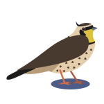 An icon representing the Lark model of the F1 Horizon kosher phone without media.