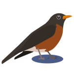 An icon representing the Robin model of the F1 Horizon feature flip phone with limited audio.