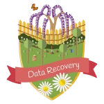 Sunbeam Data Recovery Service