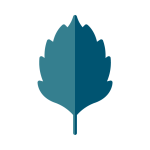 A birch leaf icon for the Birch model of the F1 Pro rugged dumbphone with limited audio.