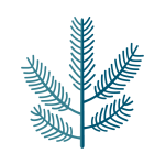 A cedar branch icon for the Cedar model of the F1 Pro rugged kosher phone with talk only.