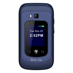 F1 Horizon Blue Jay