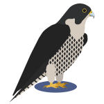 An icon representing the Falcon model of the F1 Horizon feature flip phone with email and Waze.